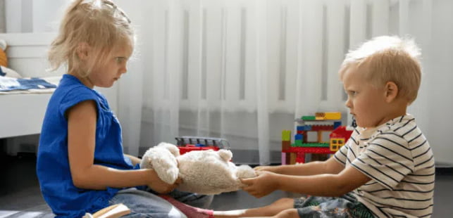 borther sister conflicts