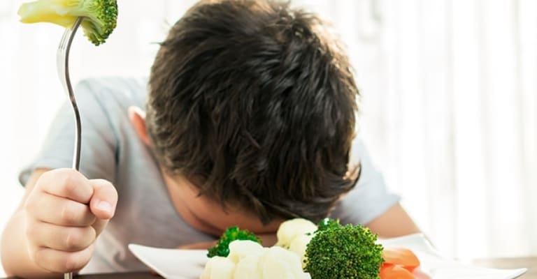 toddler-plate-with-micro-sized-food