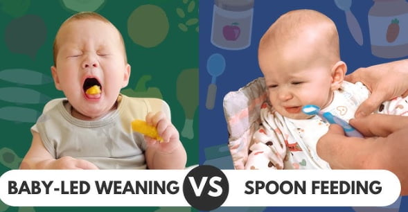 baby led weaning tips