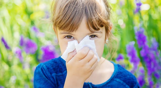 clear runny nose allergies