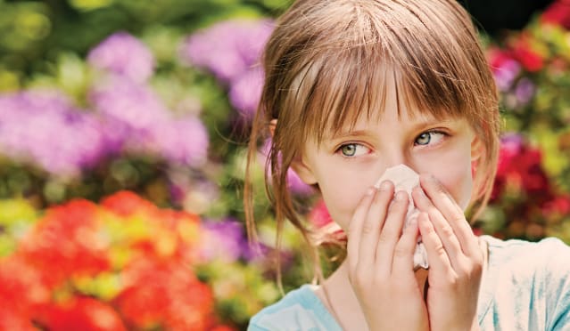 difference between allergies and cold