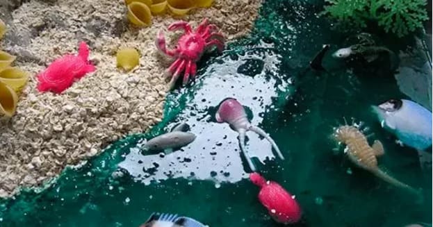 healthy toddler eating habits