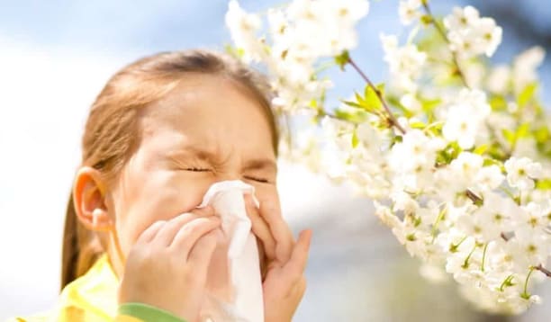 thick mucus viral cold symptoms