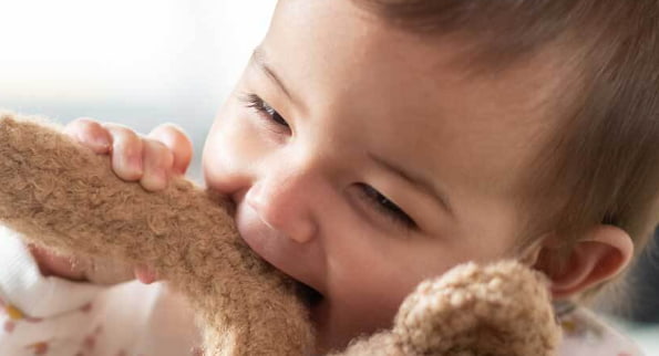 fostering peaceful toddler growth