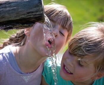 summer hydration toddler needs