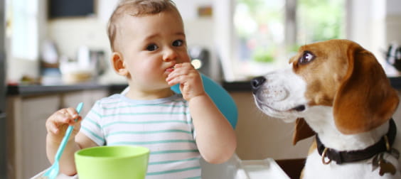 baby allergic reaction signs