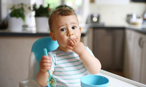 baby dairy introduction