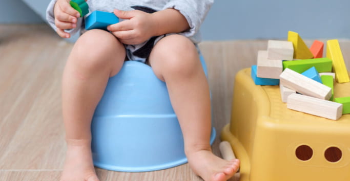 Toddler Physical Readiness Markers