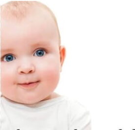 babys mental leaps guide
