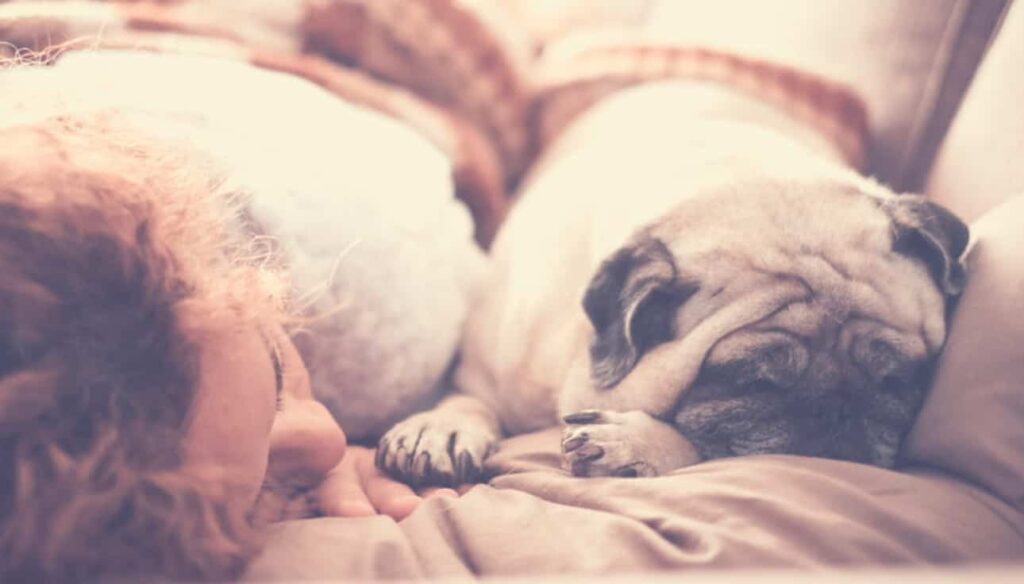 Afternoon Nap Tips
