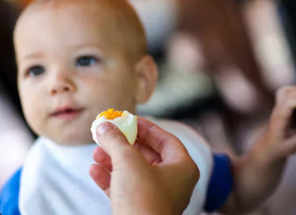 Egg Allergy Signs